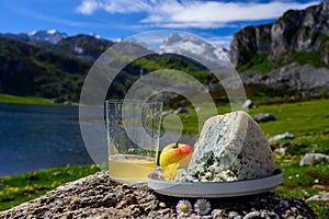 Glass of natural Asturian cider made fromÂ fermented apples, Asturian cabrales cow blue cheese with view on Covadonga lake and